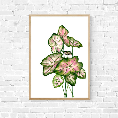 Colourful Leaves Collection - Limited Edition Art Print