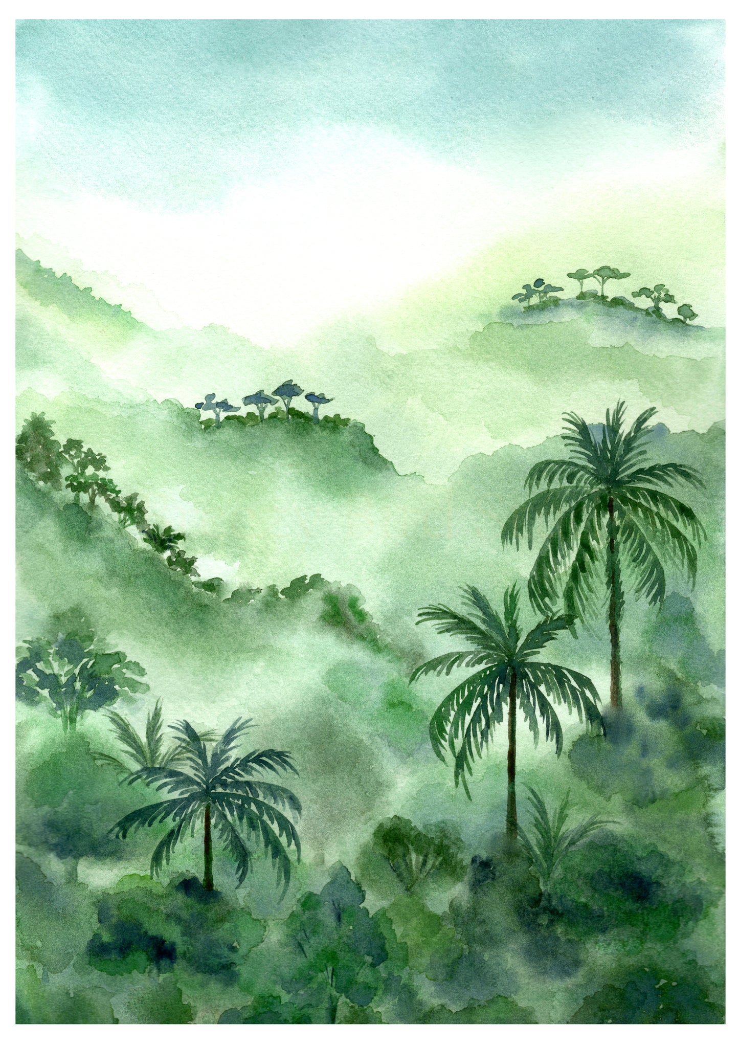 Evergreen Tropics - Limited Edition